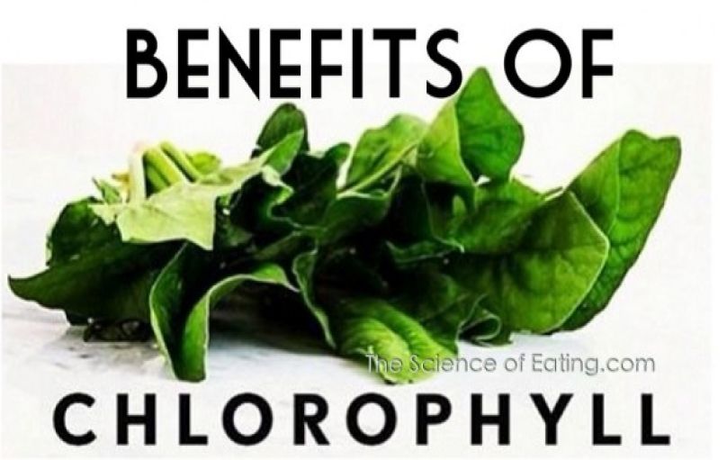 10 lợi ích nổi bật nhất của chlorophyll.